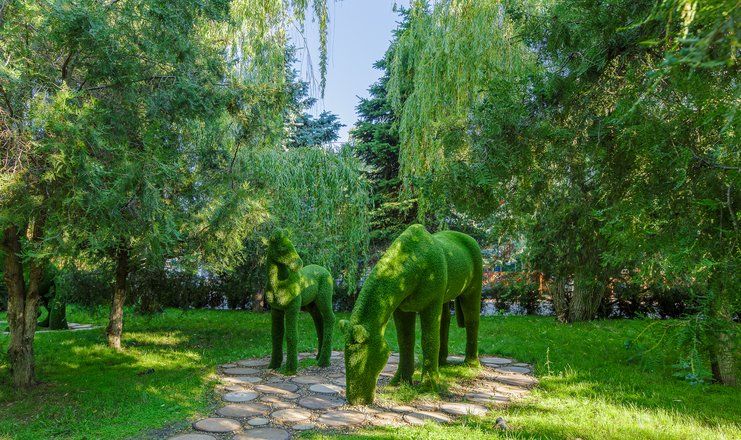 парк Топиари