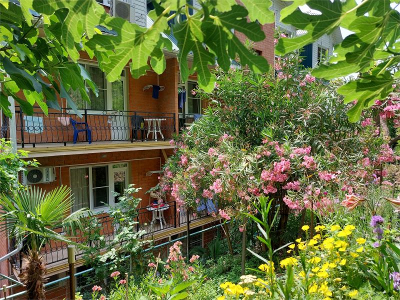 Вид на отель