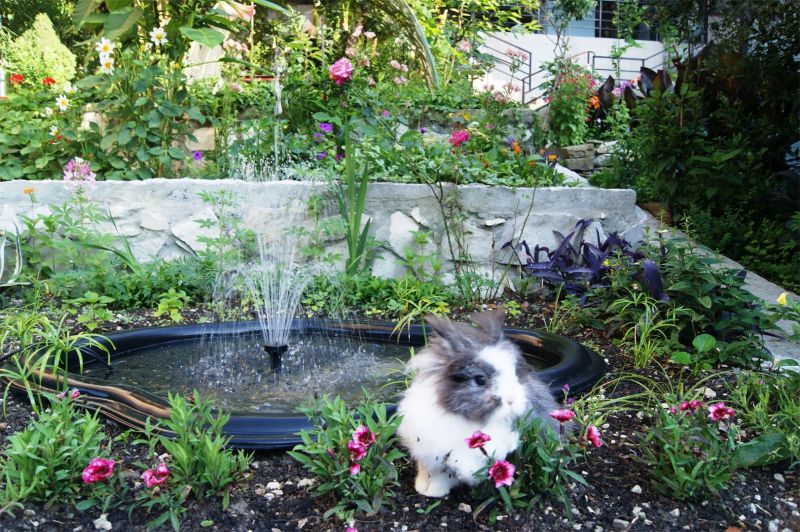 Территория