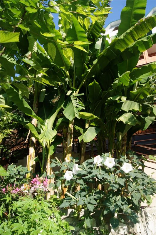 Территория