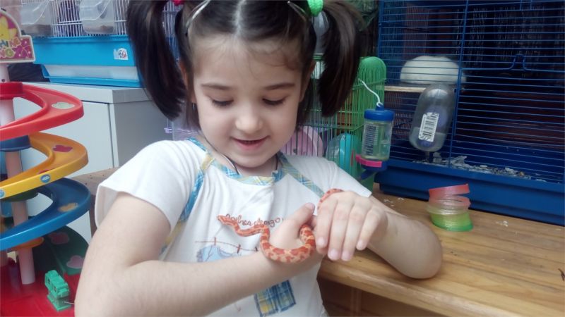 Живой уголок