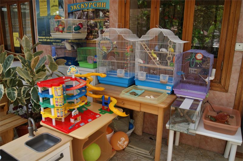 Живой уголок