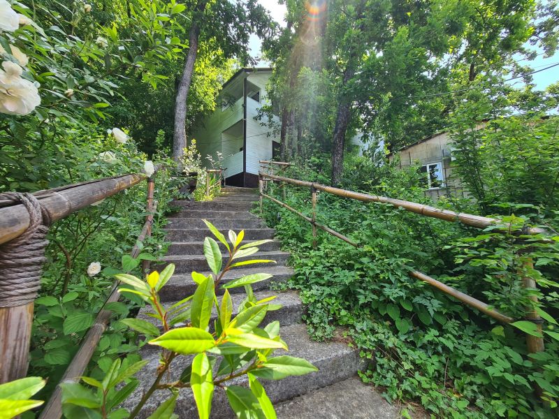 Территория