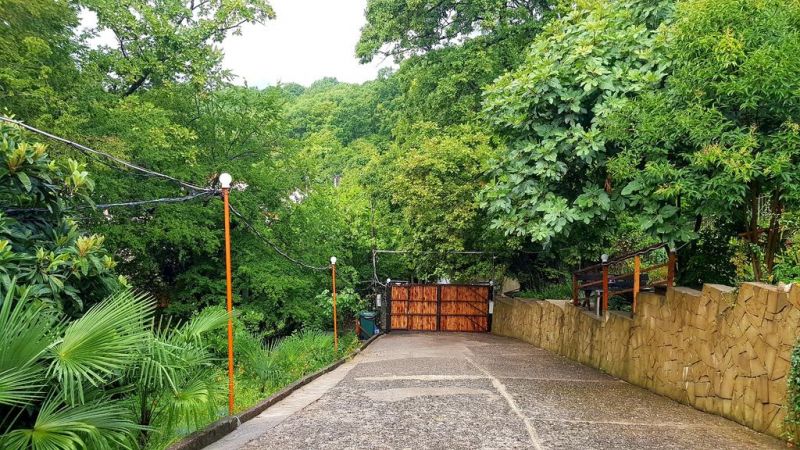 Территория