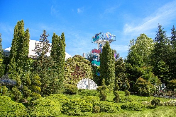 Территория