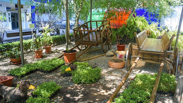 Территория