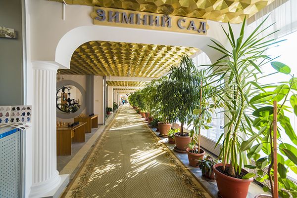 Зимний сад