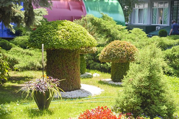 Территория