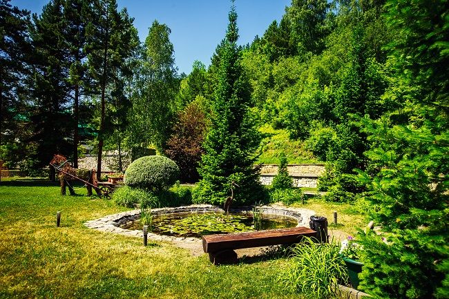 Территория