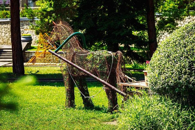 Территория