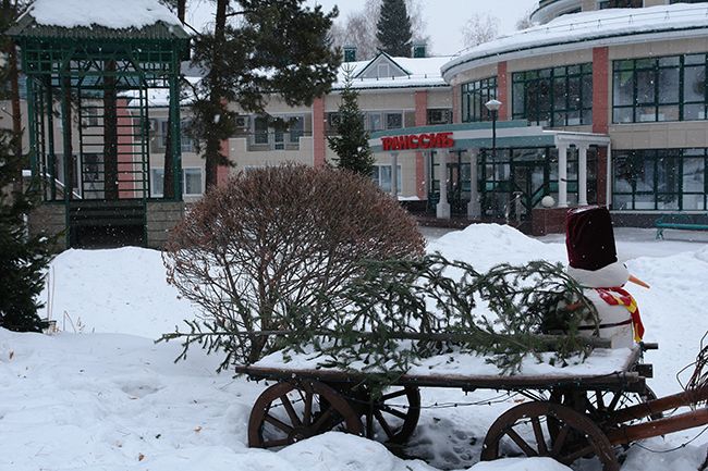 Территория