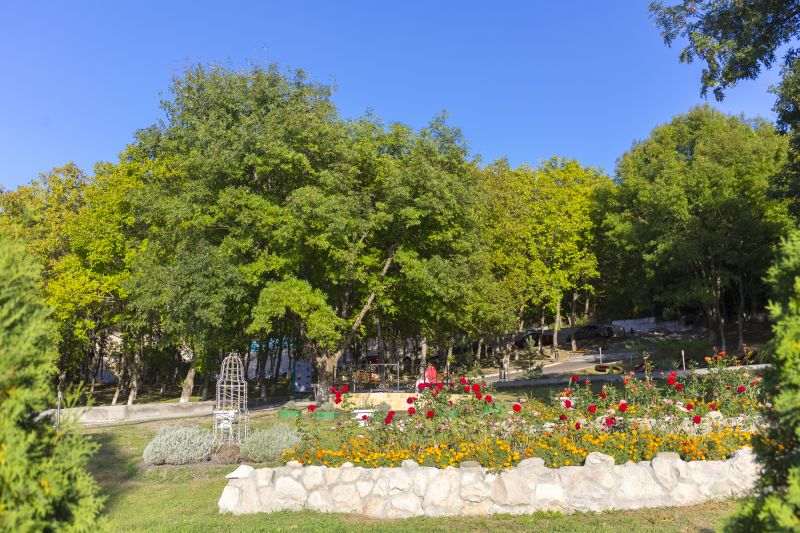 Территория