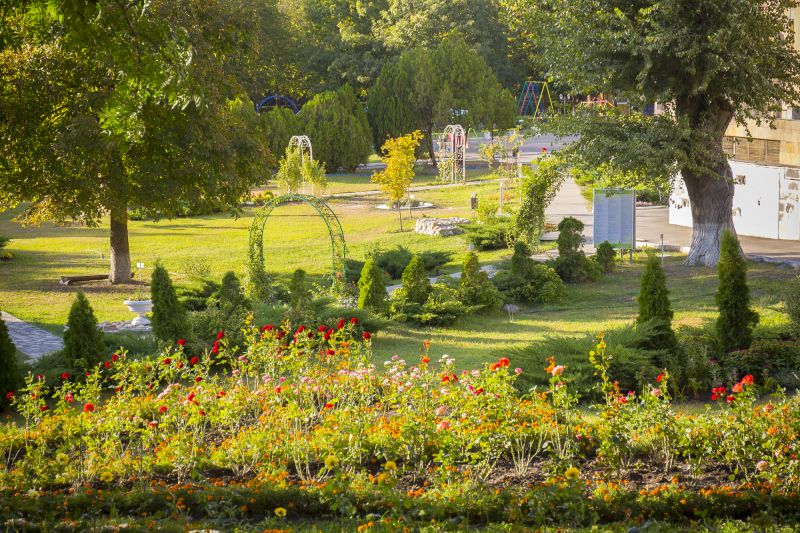 Территория