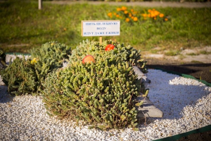 Территория