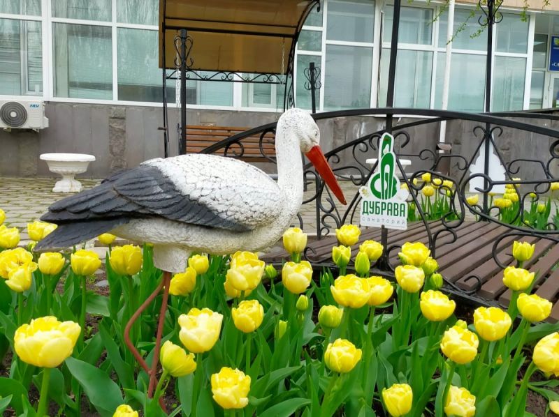 Территория