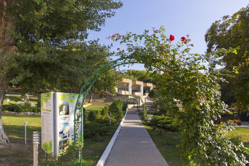 Территория