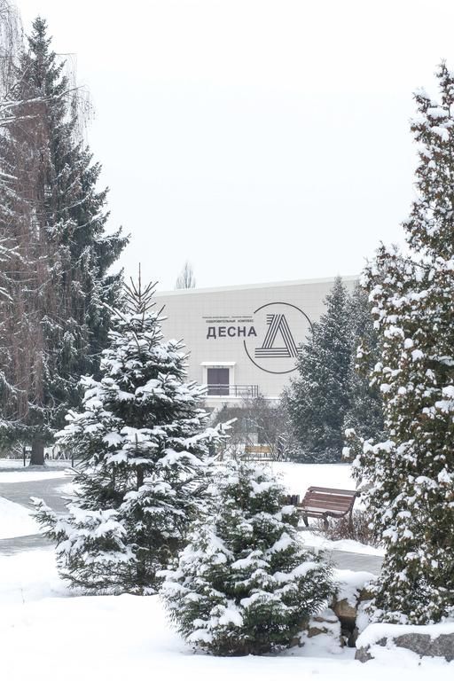 Внешний вид