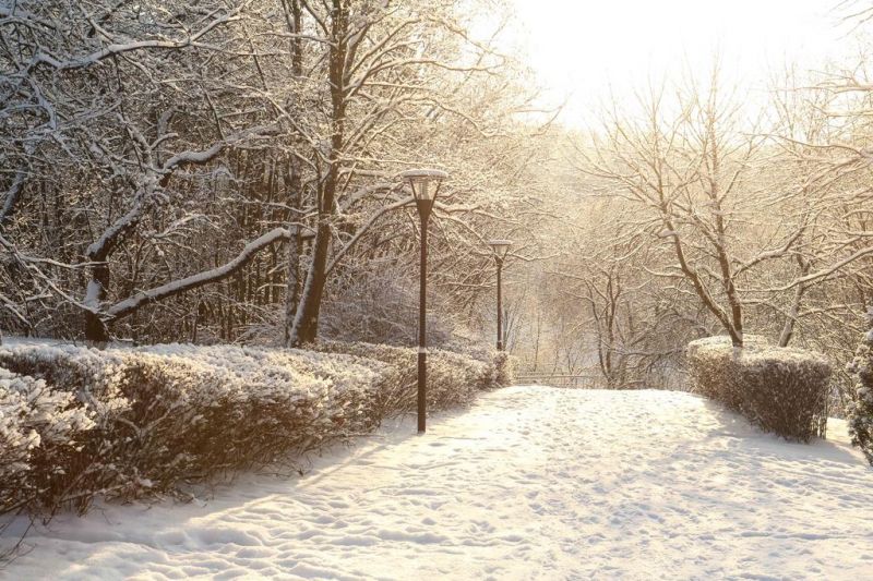 Территория