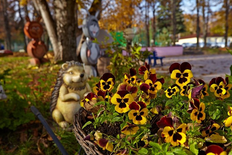 Территория