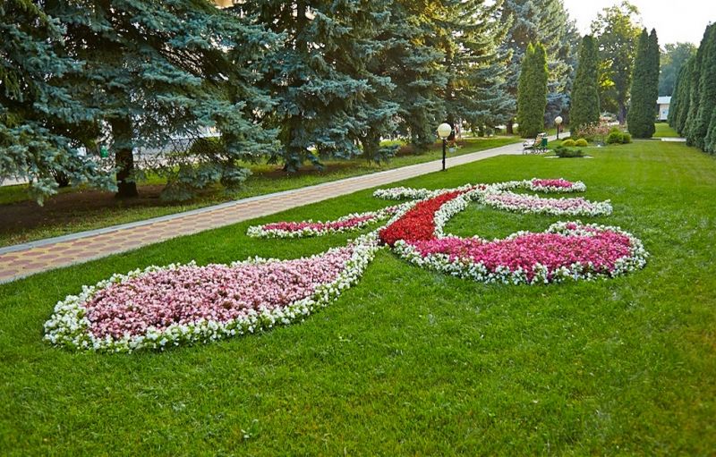 Территория