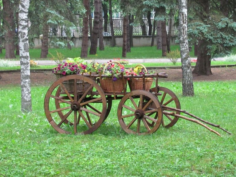 Территория