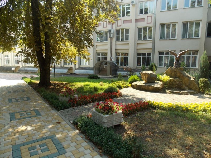 Территория