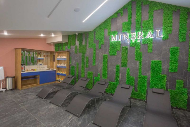 Без названия