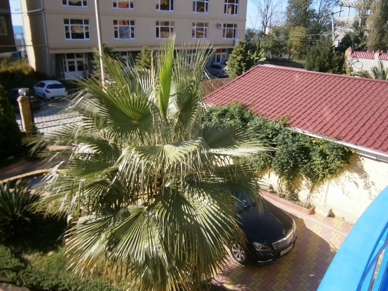 Территория