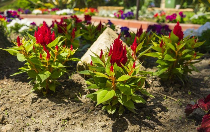 Территория