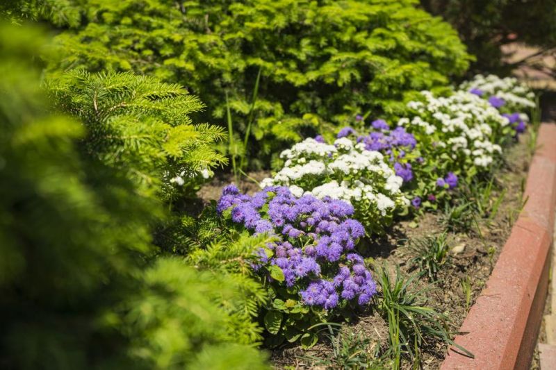 Территория