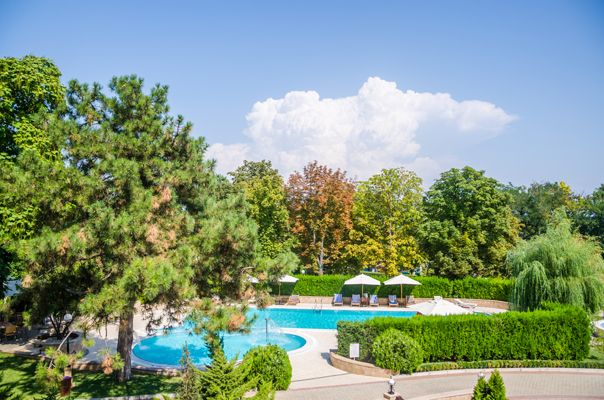 Территория