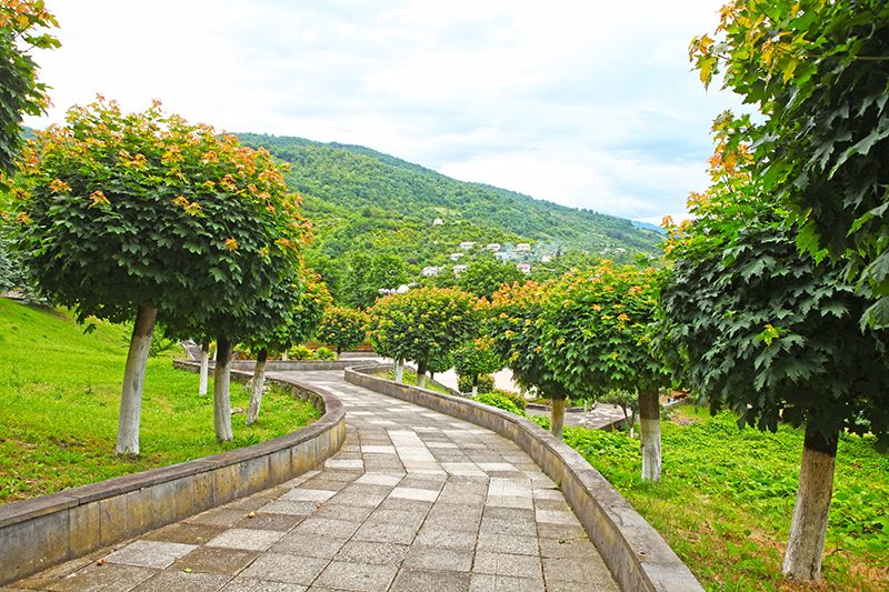 Внешний вид