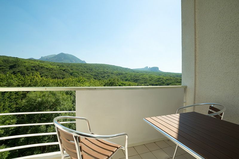 Стандартный 2-местный 1-комнатный номер в центральном корпусе