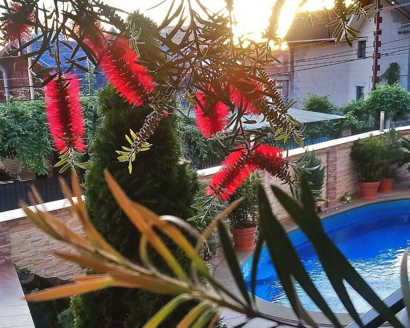 Территория