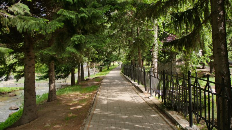 Территория