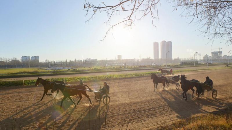 Вид на иппадром