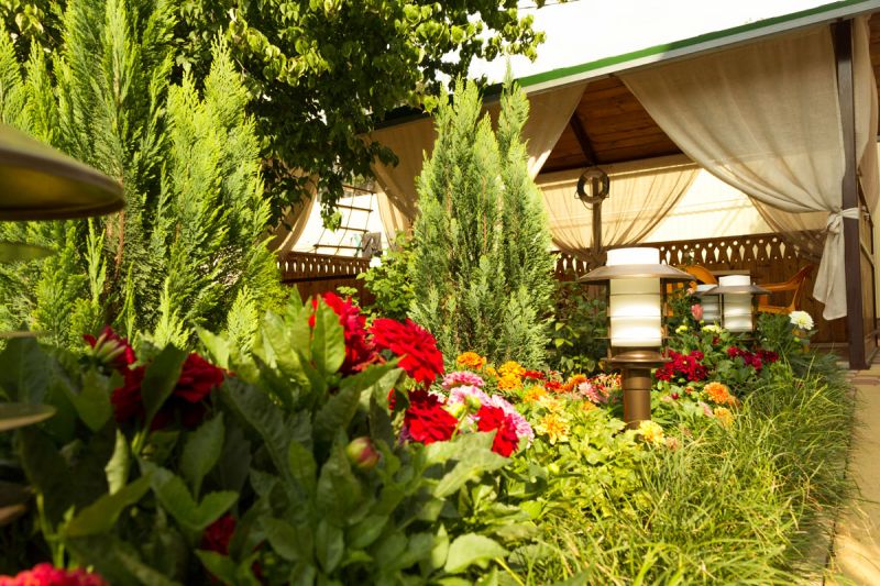 Территория