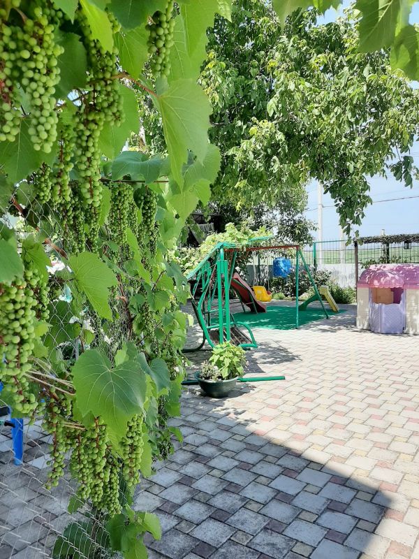 Территория