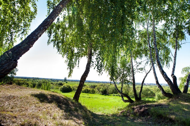 Территория