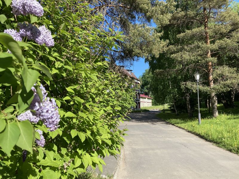 Территория