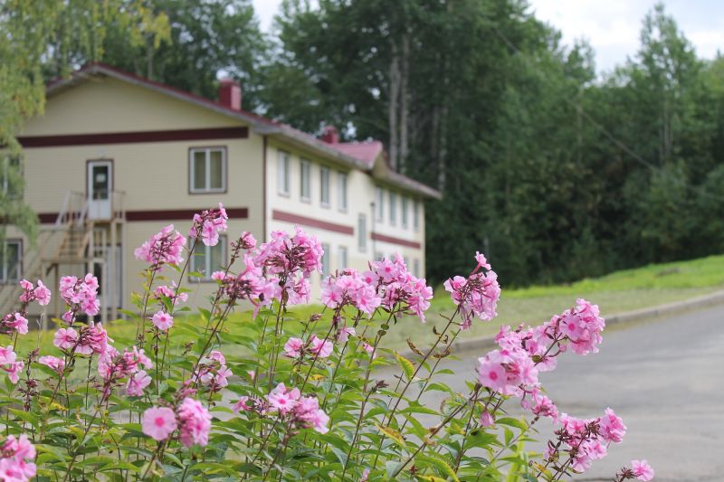 Территория