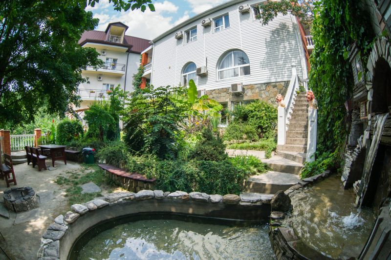 Внешний вид