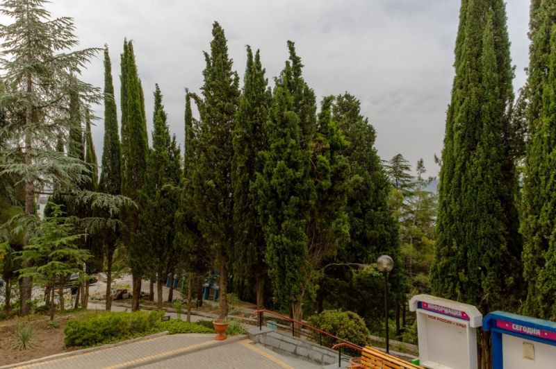 Территория