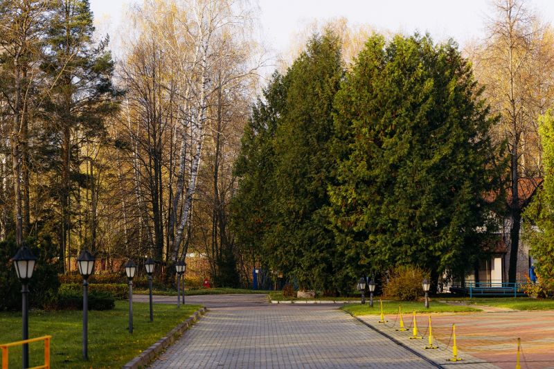 Территория