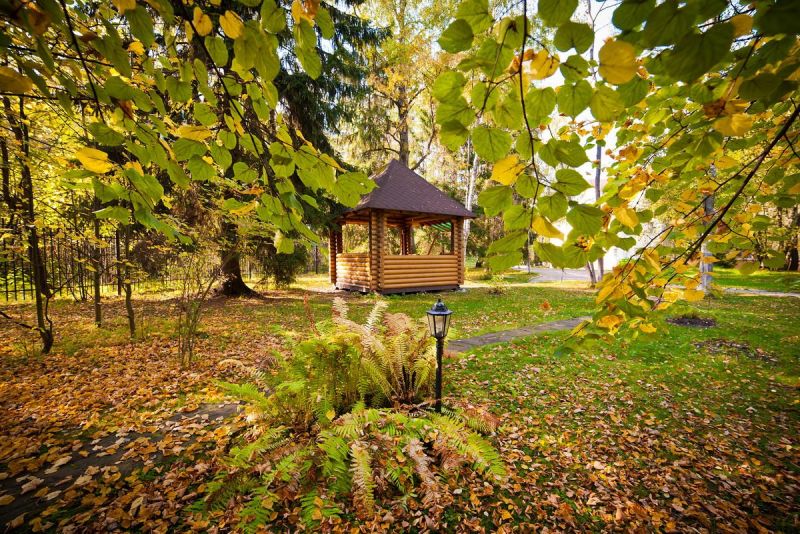 Территория