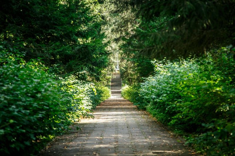 Территория