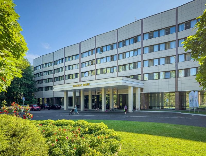 Внешний вид