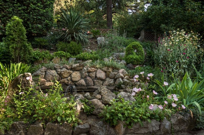 Парк. Территория