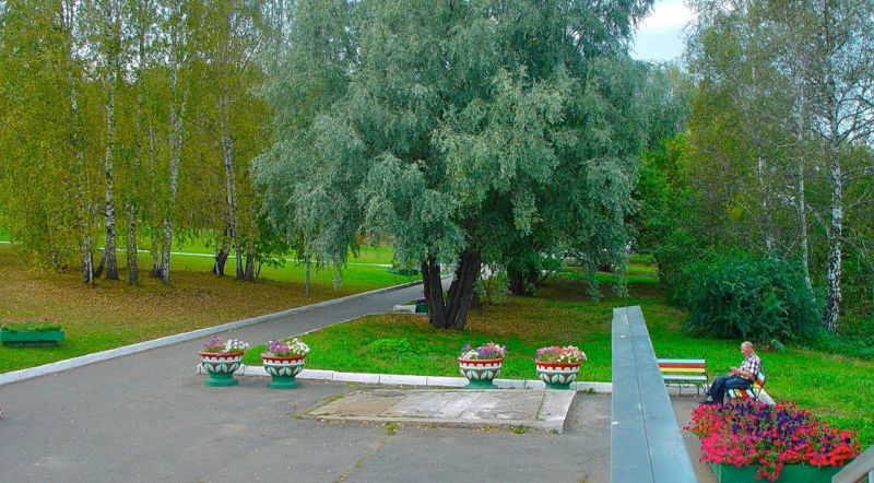 Территория