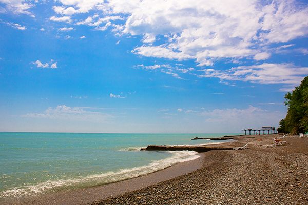 Внешний вид